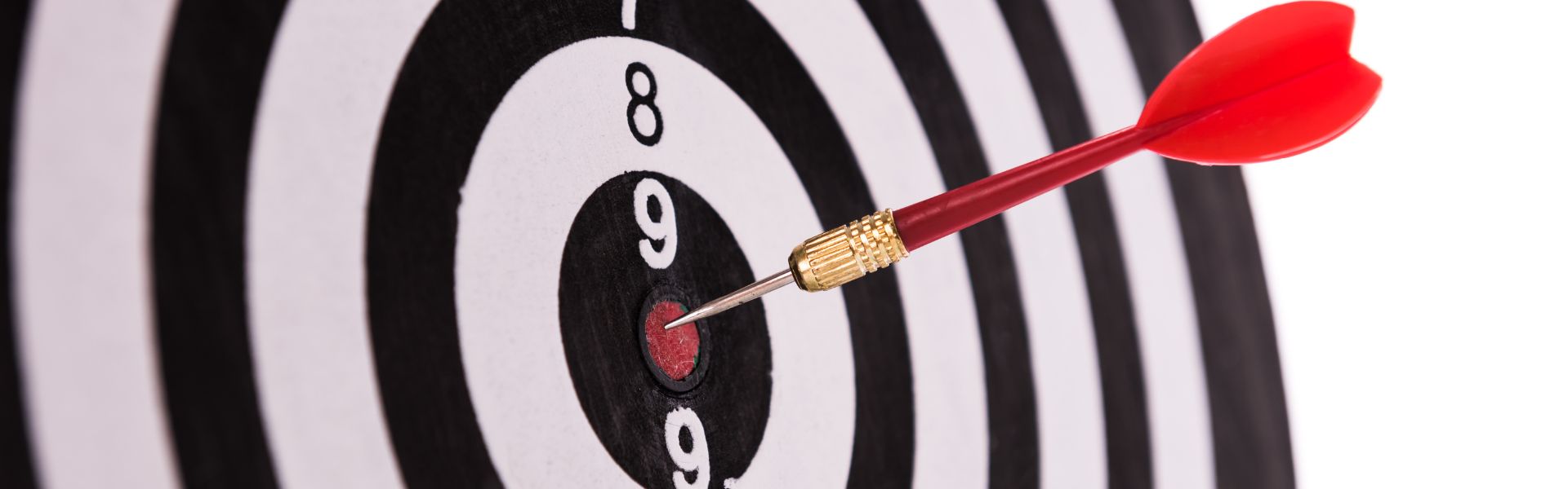 Strategie vincenti nelle gare d’appalto: massimizza le tue possibilità di aggiudicazione